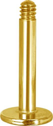 * Gold Labret-Stecker Piercing 1,2/8